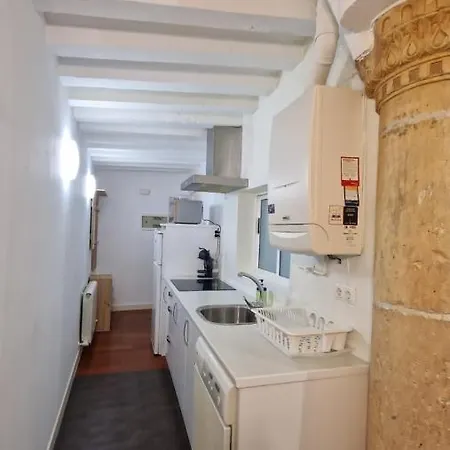 El Loft De La Catedral Vut-09/547