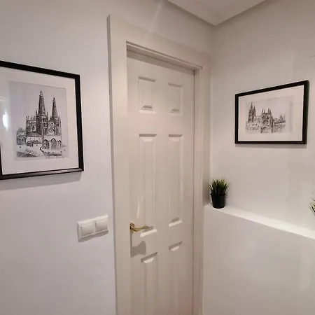 Apartamento El Loft De La Catedral Vut-09/547 Burgo