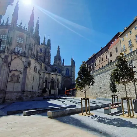 El Loft De La Catedral Vut-09/547